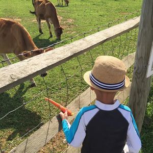 Meet your Posher, Calvin